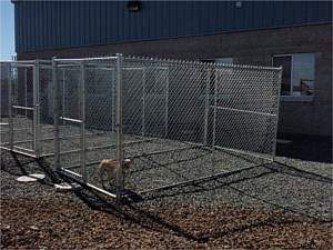 Dog Kennel 2